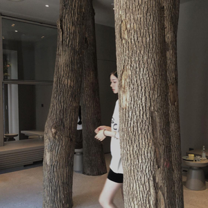 草青青在线视频
